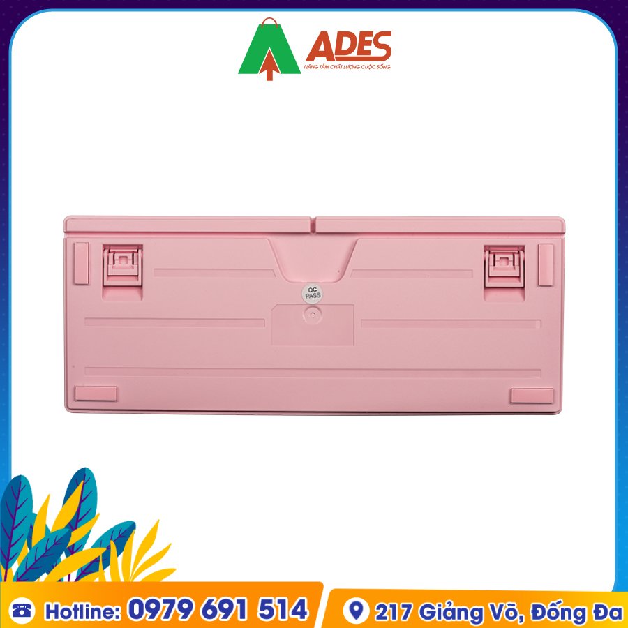 Edra EK387 Huano Switch Dream Pink (2021) gia soc