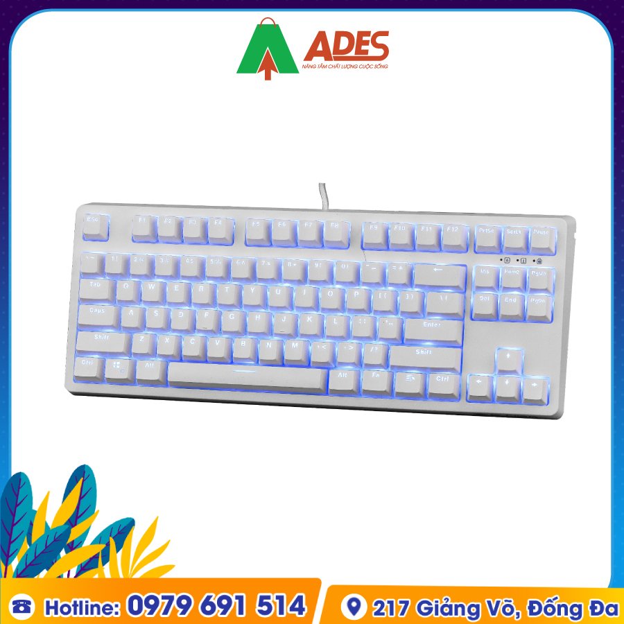 Edra EK387 Outemu Switch Ice White chat luong