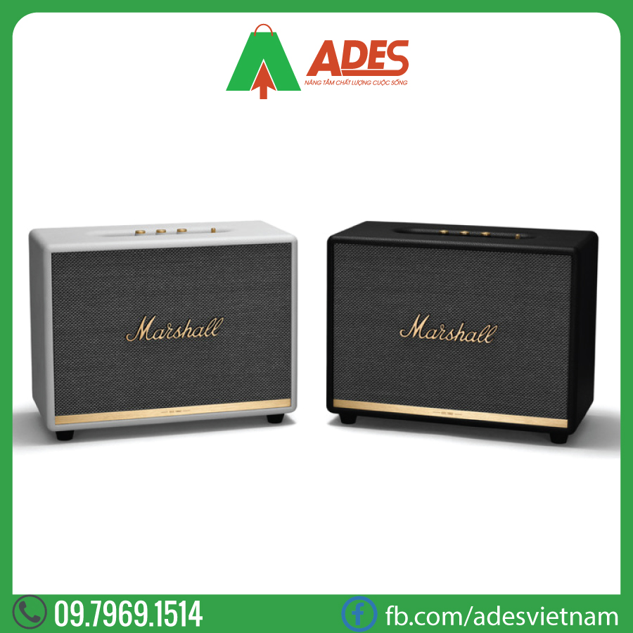 Loa Bluetooth MARSHALL Woburn 2