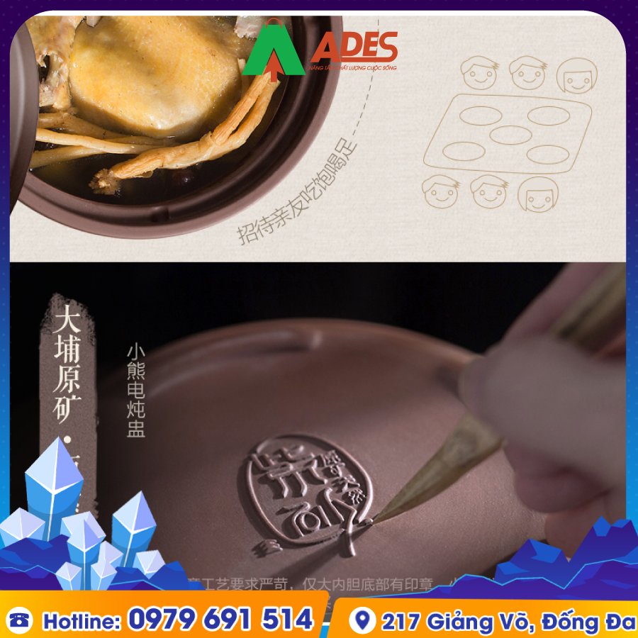 BEAR DDQ D40E2 sang trong