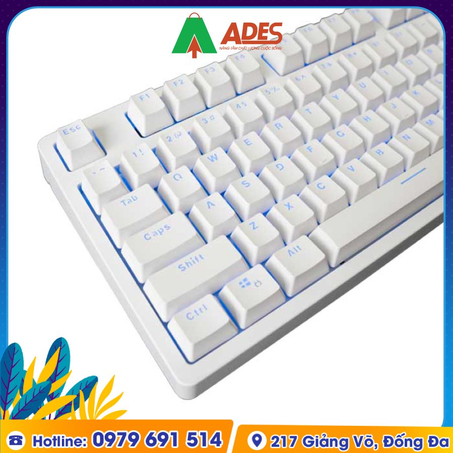 EK387 Outemu Switch Ice White gia soc