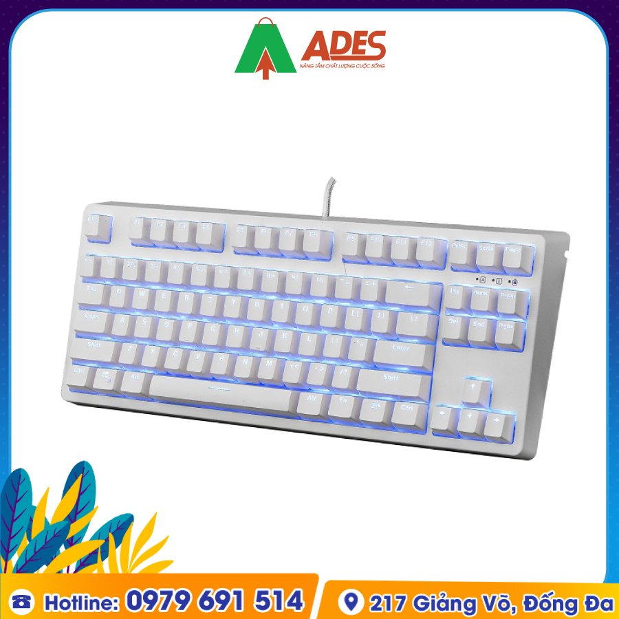 Edra EK387 Outemu Switch Ice White chinh hang