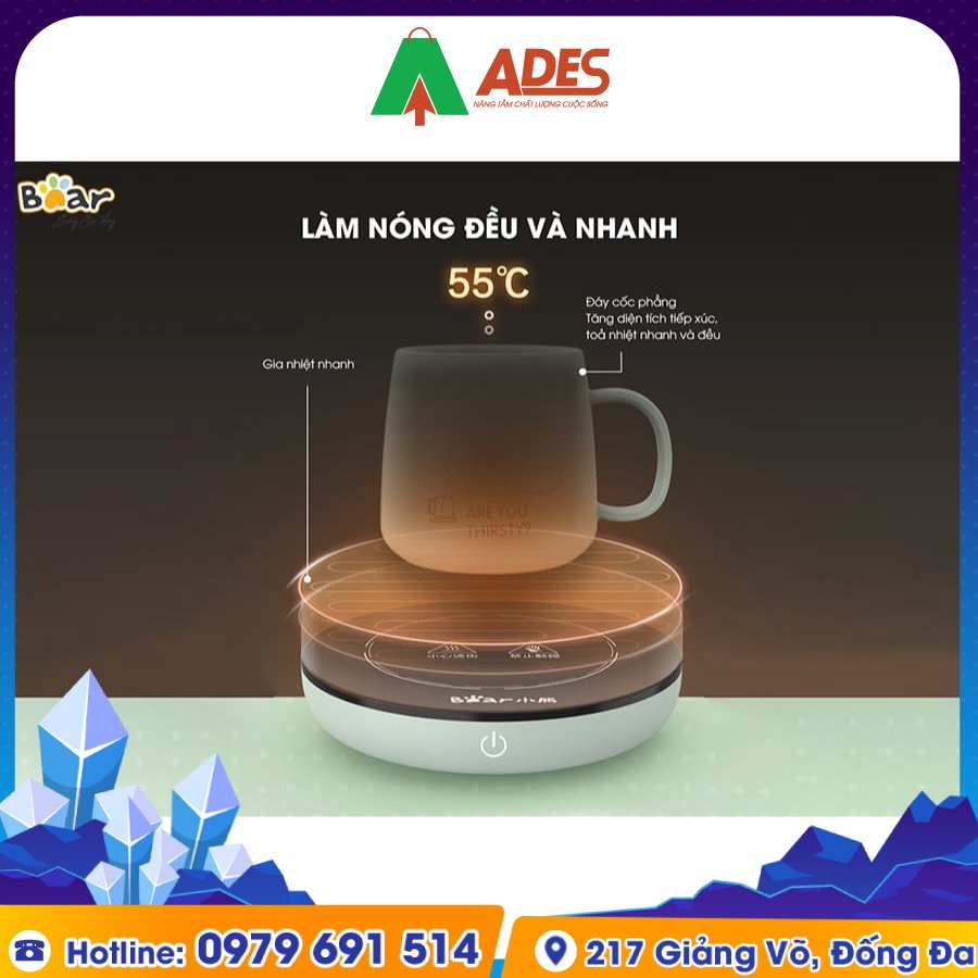 BEAR DRBD A16B1 hien dai