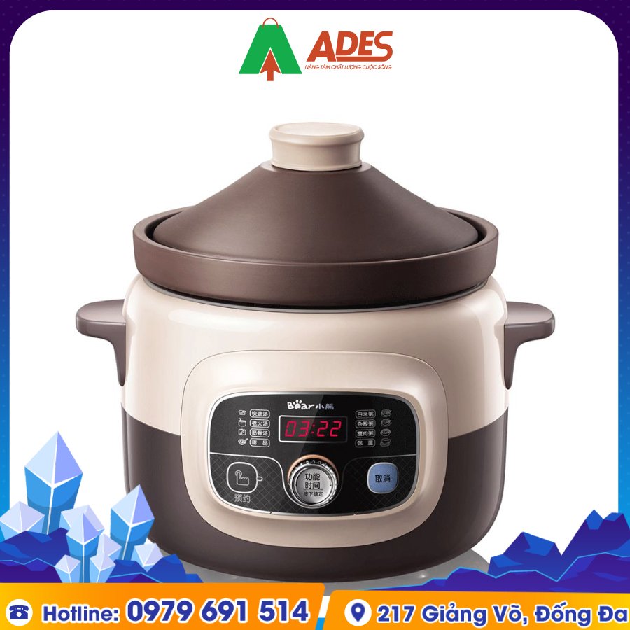 BEAR DDQ D40E2 tinh te