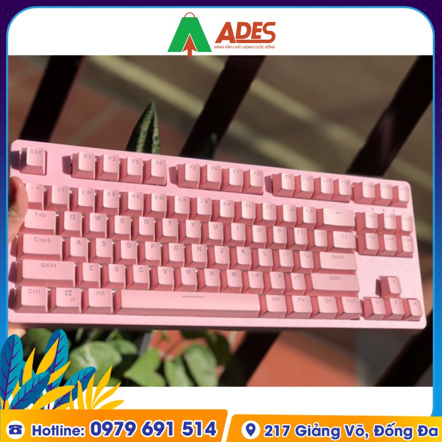 Edra EK387 EK387 Outemu Switch Dream Pink gia re