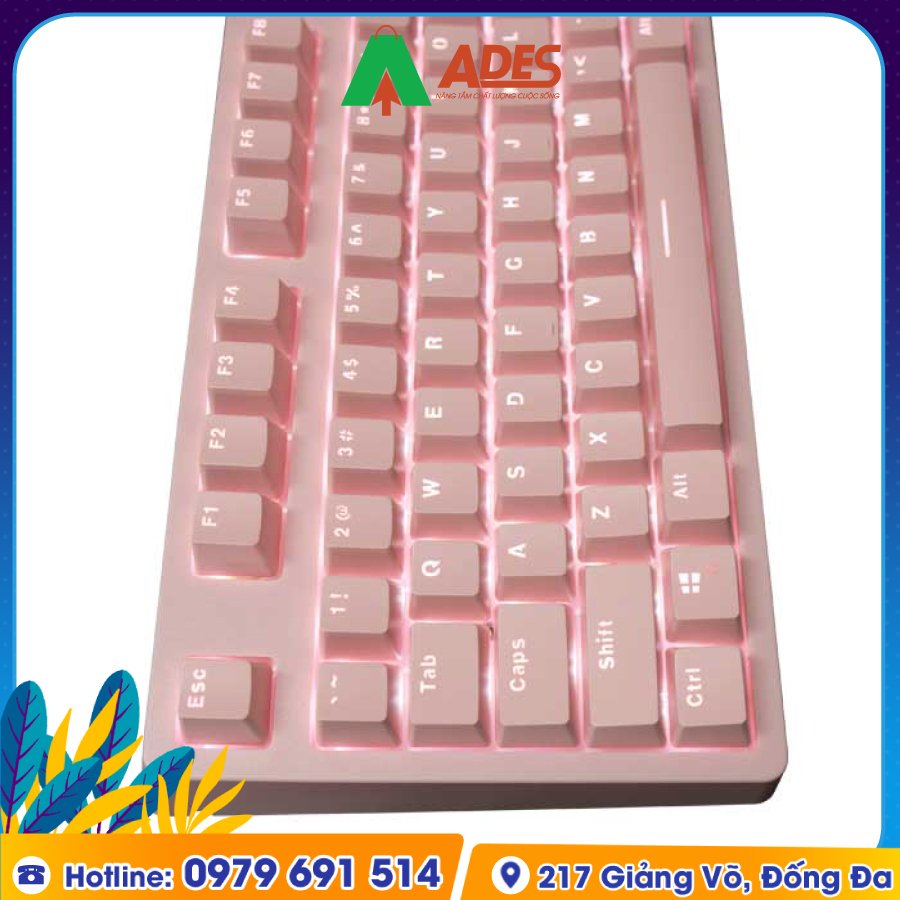 EK3104 Outemu Dream Pink chat luong