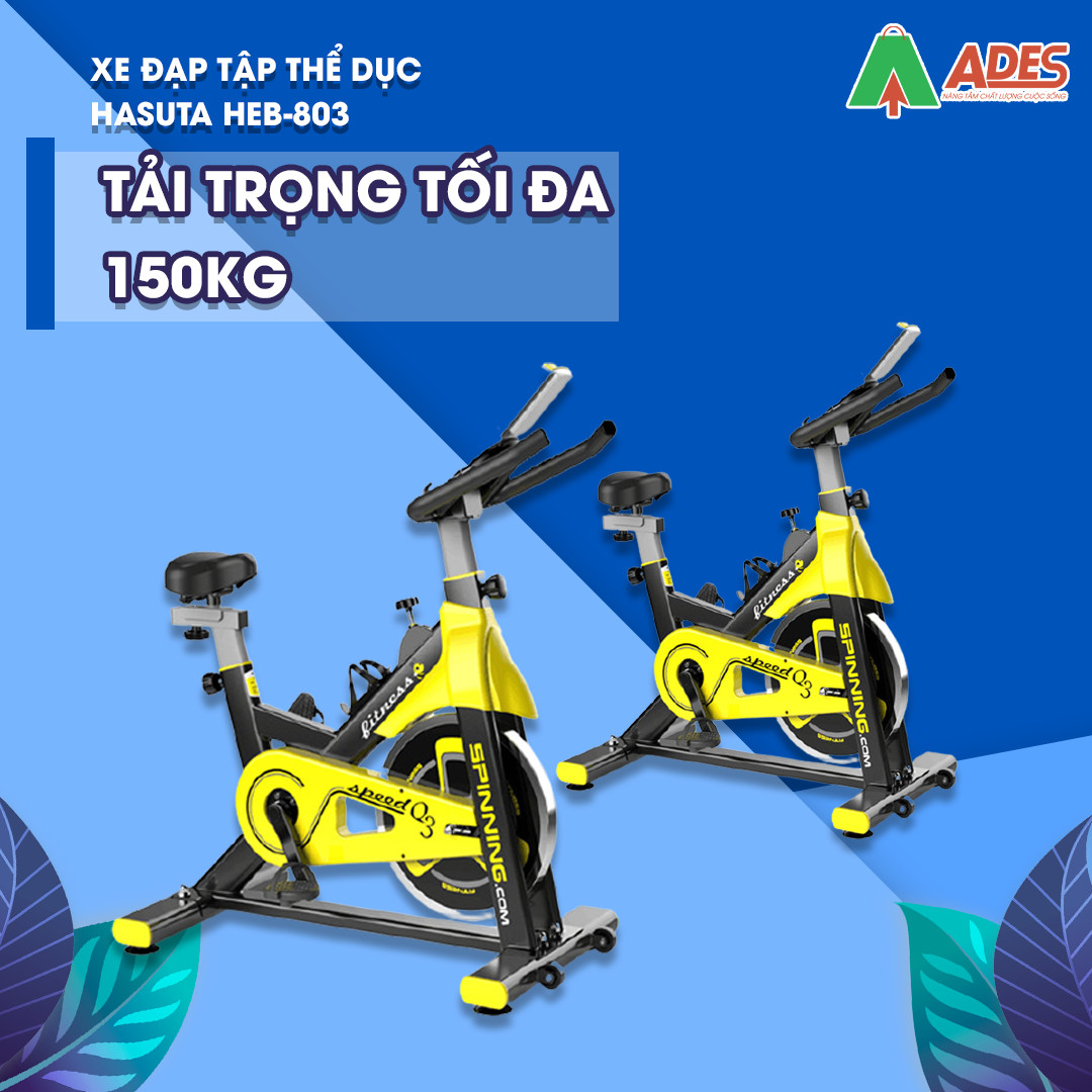 Xe Dap Tap The Duc Hasuta HEB-803 chinh hang