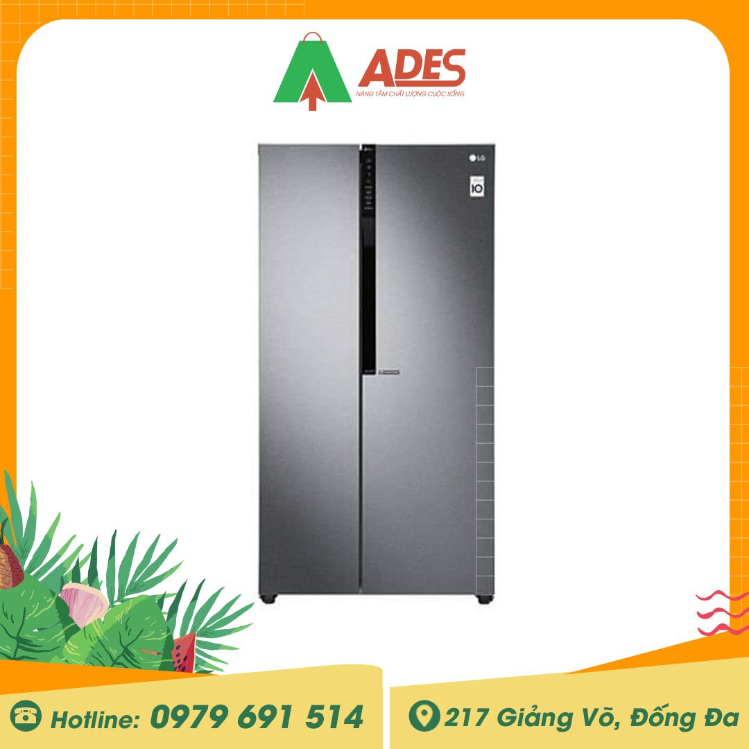 Tu lanh LG Inverter GR-B247JDS