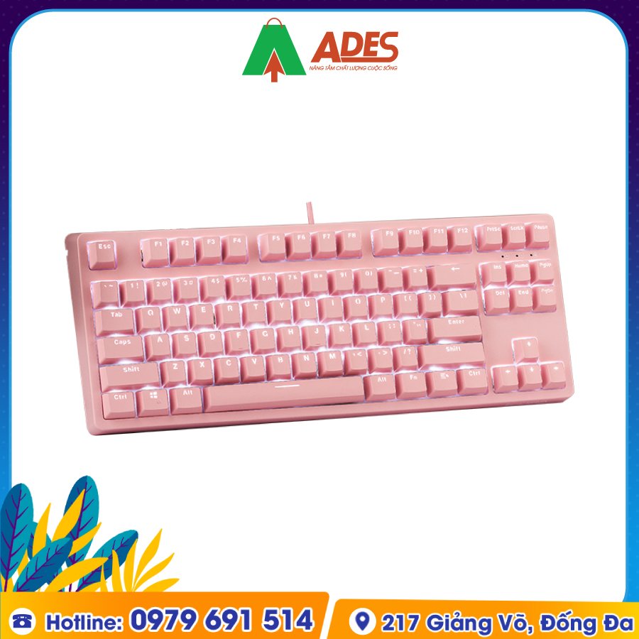 Edra EK387 Huano Switch Dream Pink (2021) chinh hang