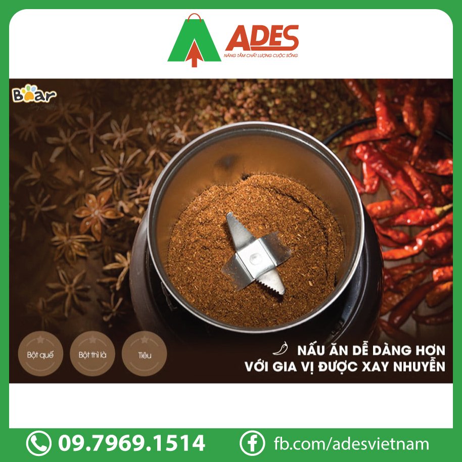 BEAR FSJ-A03D1S hien dai