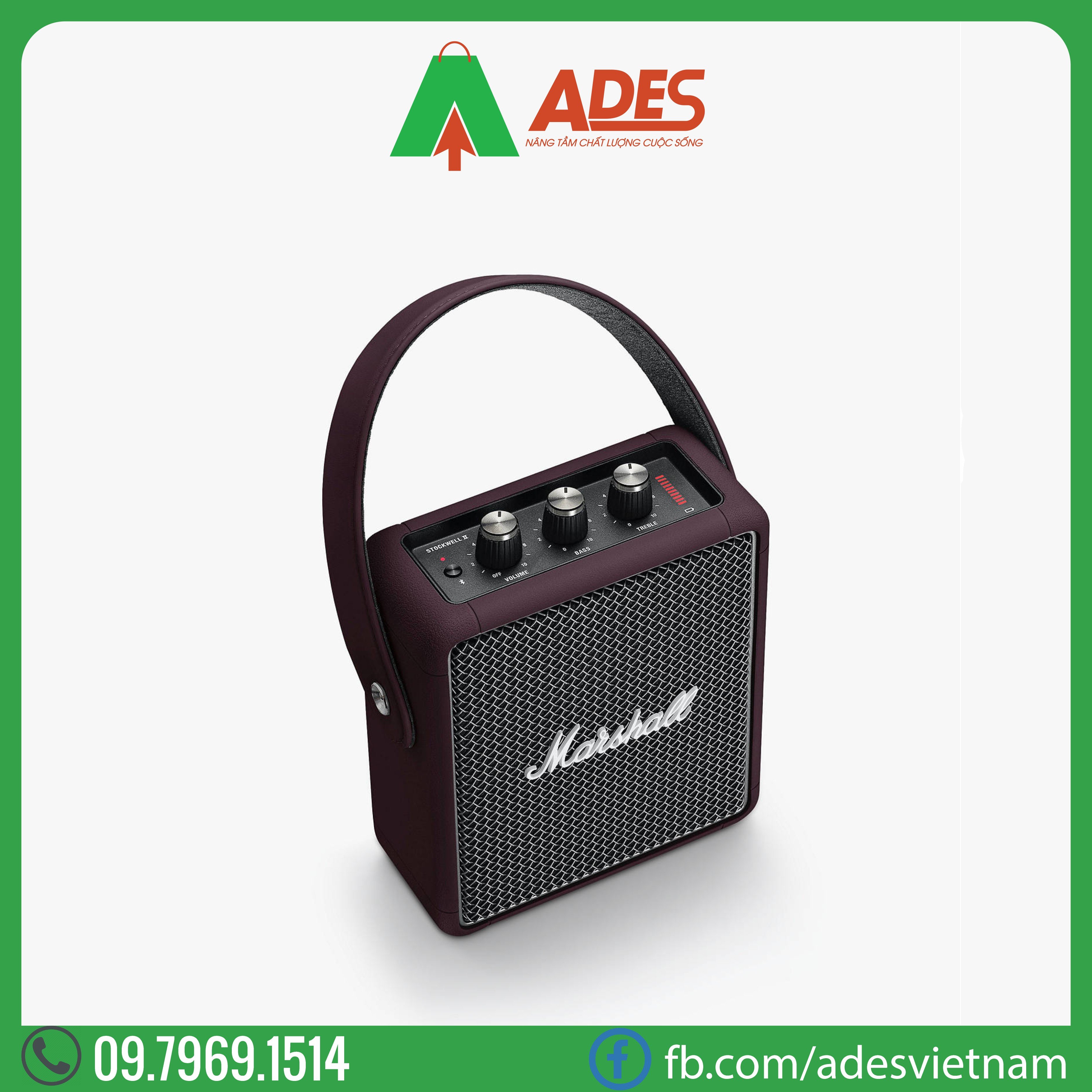 Loa Bluetooth MARSHALL Stockwell 2