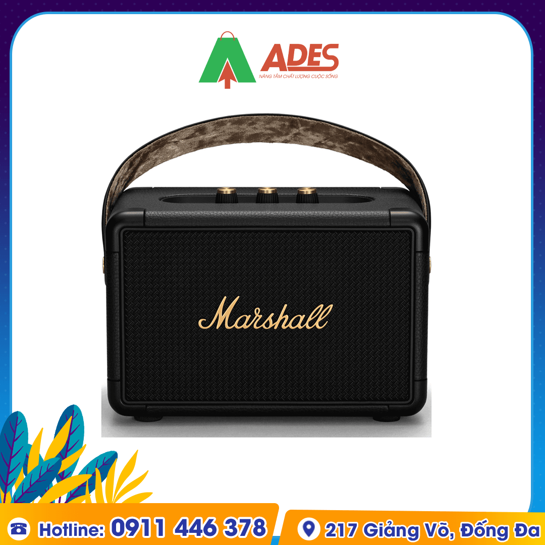 loa bluetooth MARSHALL Kilburn 2