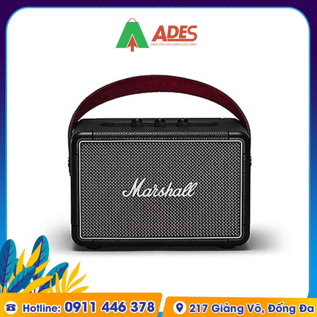 loa bluetooth MARSHALL Kilburn 2