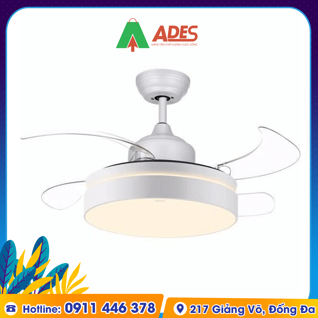 Yeelight c900 2024