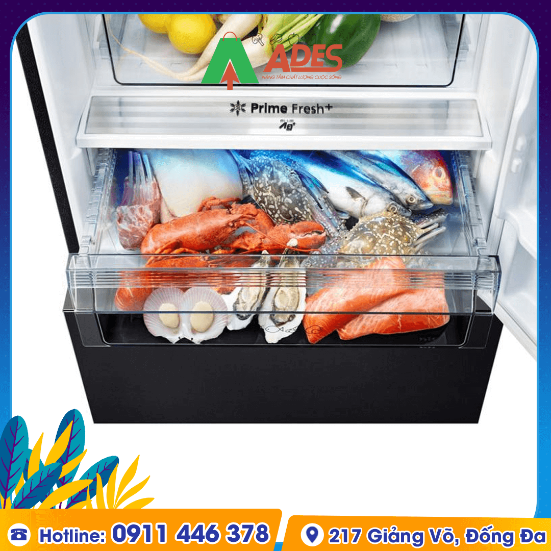 tu lanh Panasonic NR-BX421WGKV