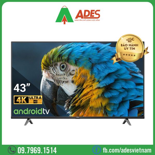 Android Tivi TCL 4K 43 inch 43P618