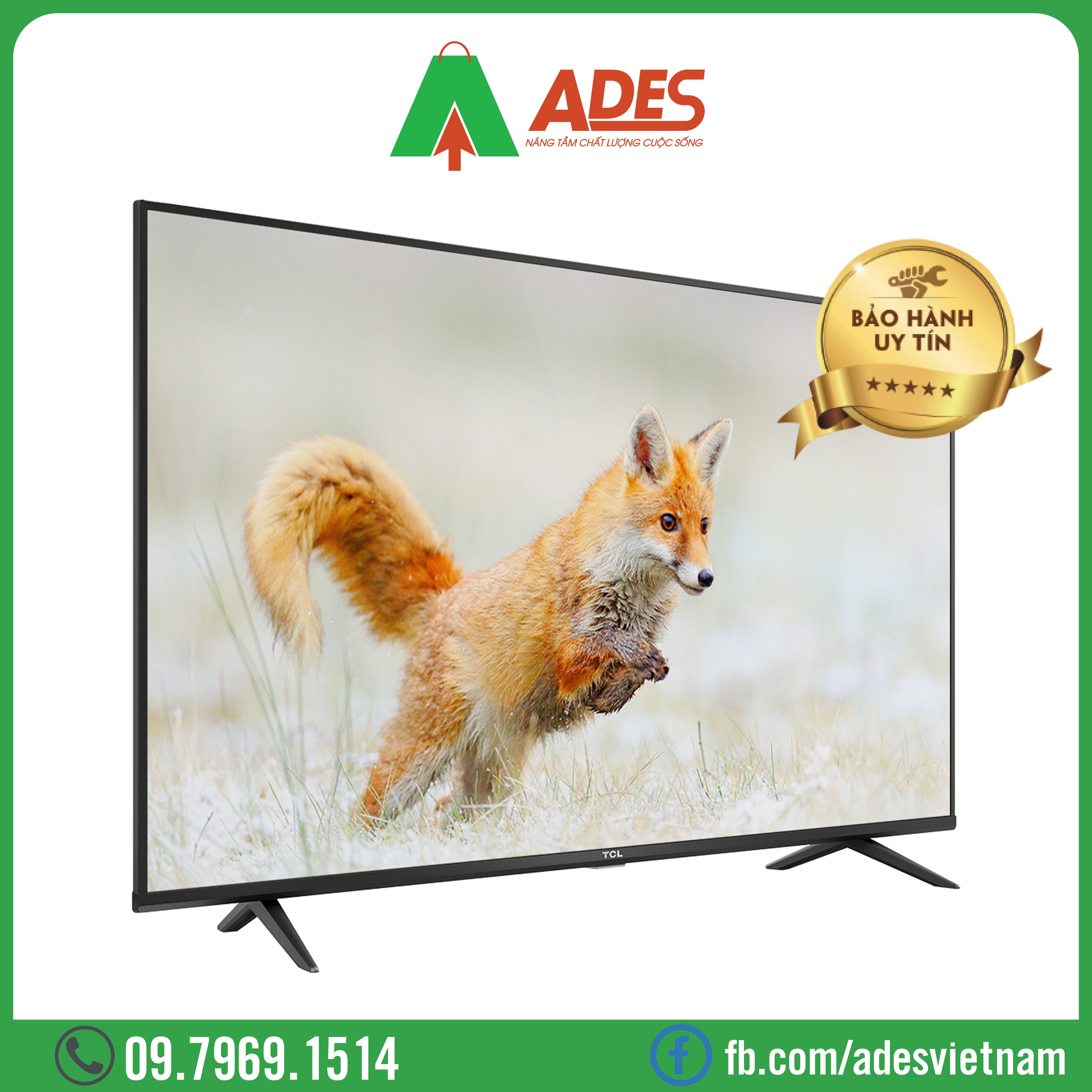 Android TiVi 4K TCL 55 Inch 55P618