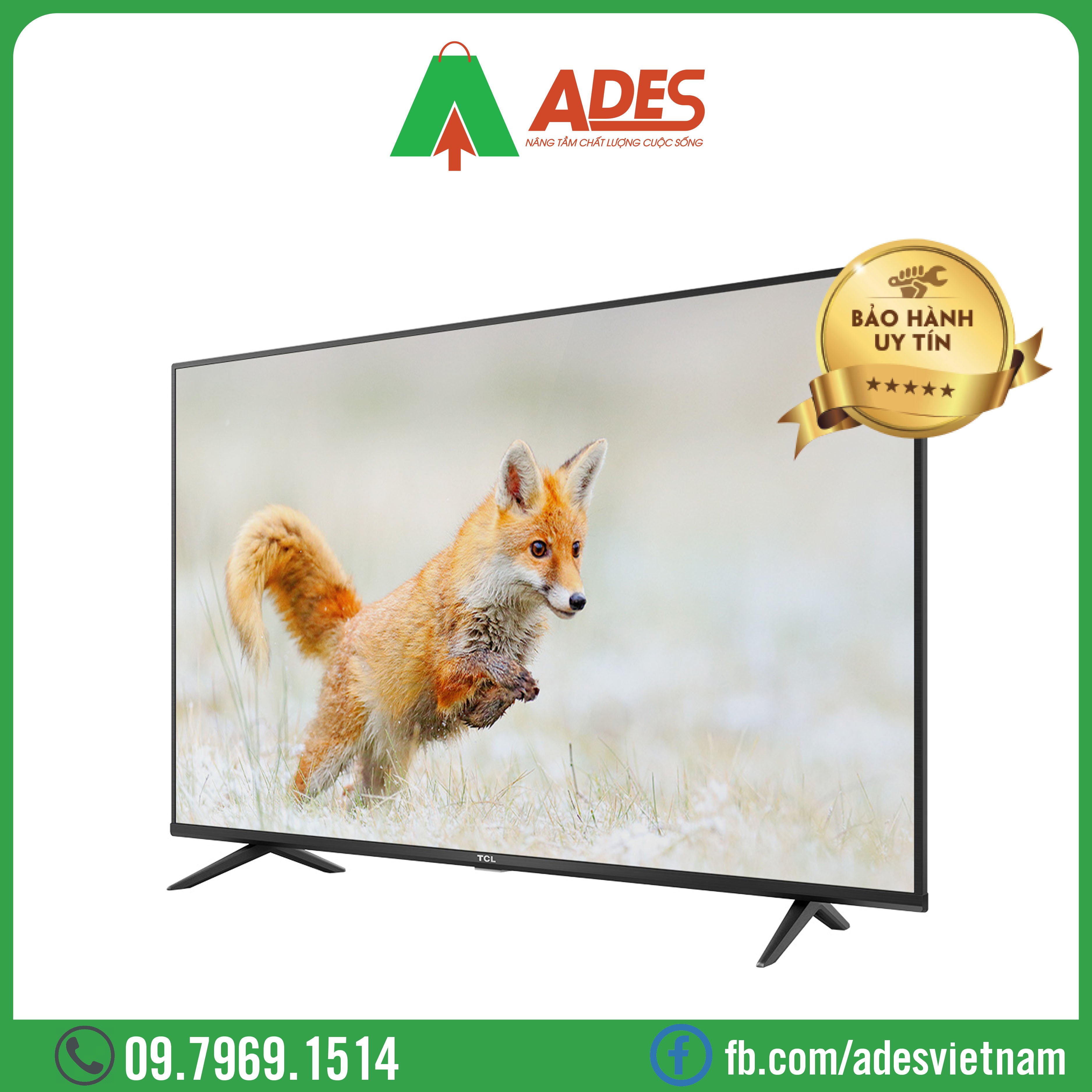 Android TiVi 4K TCL 55 Inch 55P618