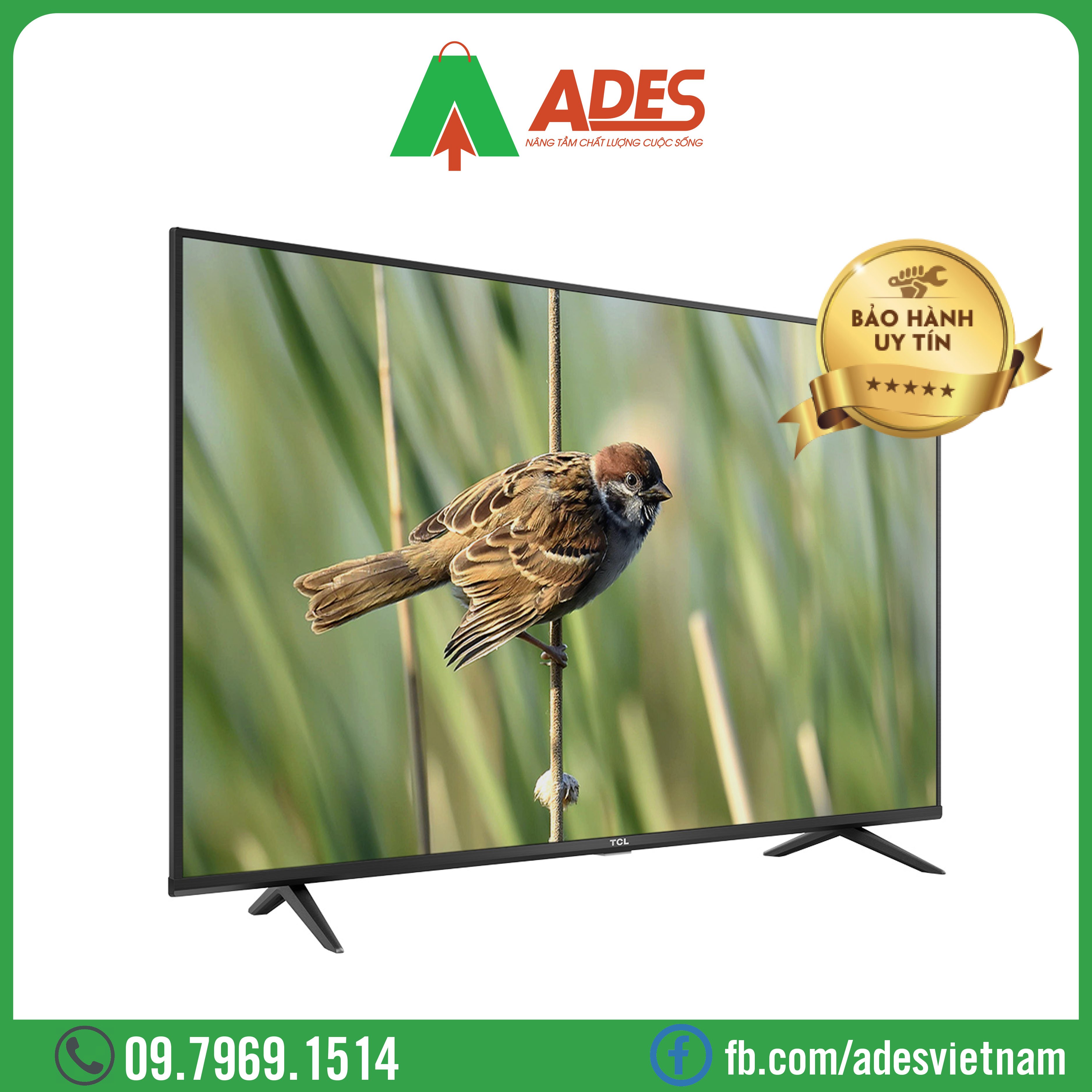 Android TiVi TCL 4K 50 Inch 50P618