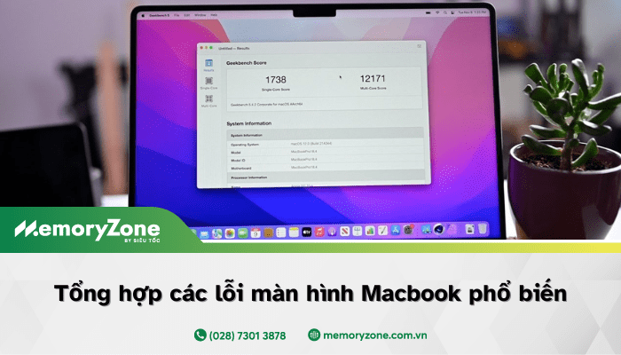 Tổng hợp các lỗi màn hình Macbook phổ biến và cách bảo quản để tránh bị lỗi