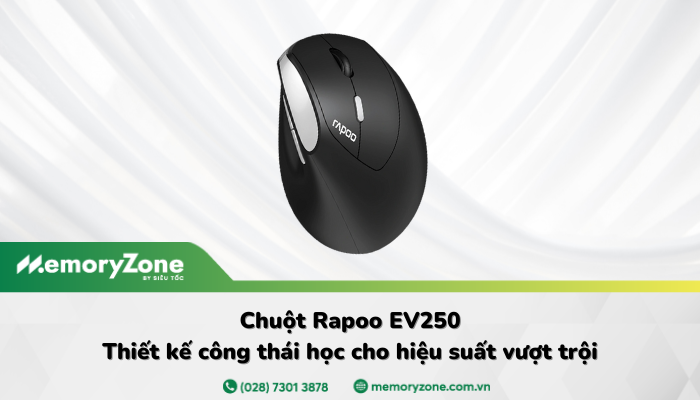 Rapoo EV250