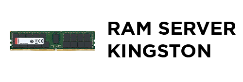 [301] - RAM Server Kingston