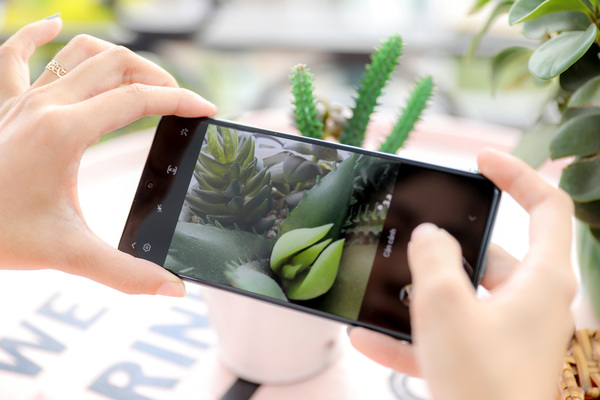 Camera macro trên điện thoại 