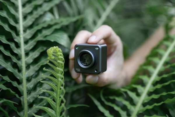 Camera Macro trong chụp ảnh
