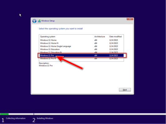 Chọn Windows 11 Pro → Next