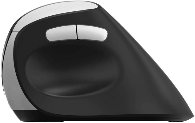 Rapoo EV250