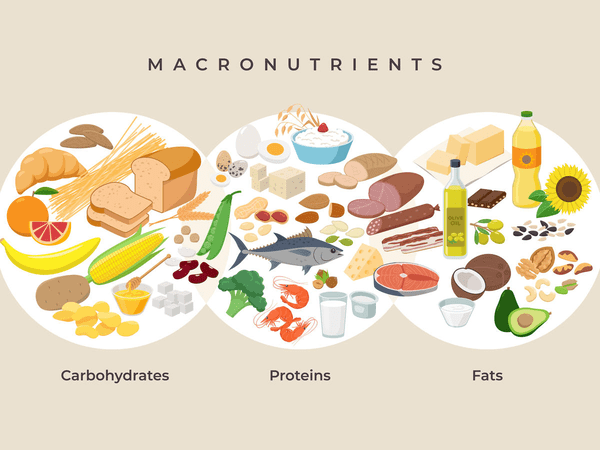 Macro trong việc giảm cân