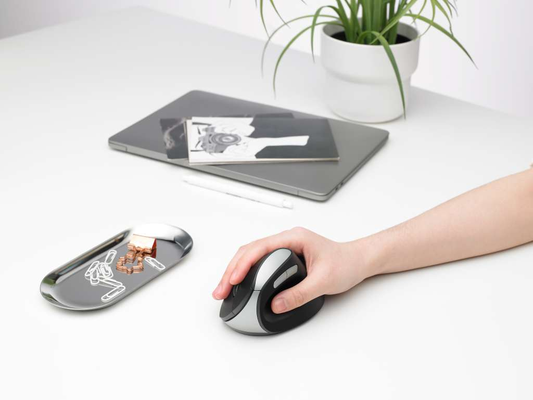 Rapoo EV250 review tổng quan