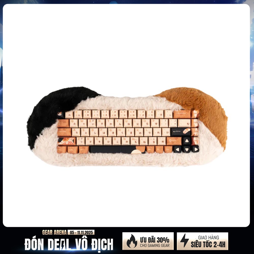 Bàn phím cơ không dây Dry Studio PetBrick 65 Calico RGB Hotswap (Dry Studio Sw)