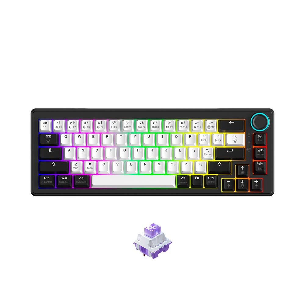 Bàn phím cơ Dareu EK65s White Black PBT RGB (Dareu Sw)