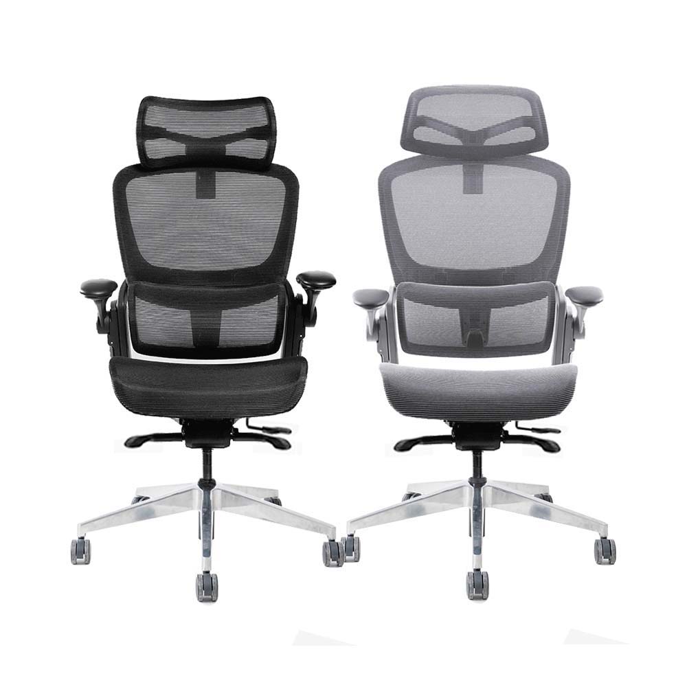 Ghế công thái học Epione Easy Chair SE