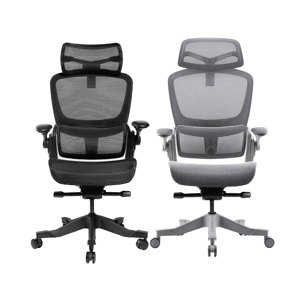 Ghế công thái học Epione Easy Chair