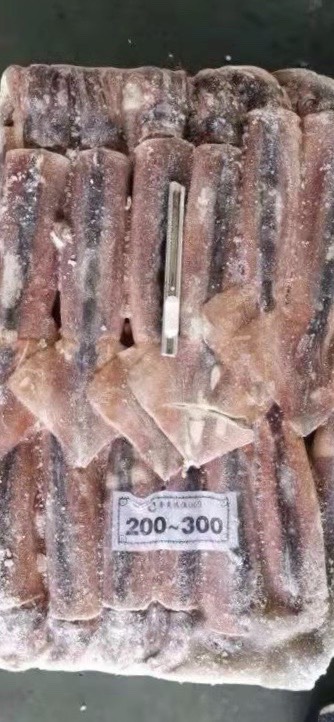 Chất lượng Hải sản xuất khẩu tại Nghệ An đảm bảo ổn định Hải sản xuất khẩu tại Nghệ An