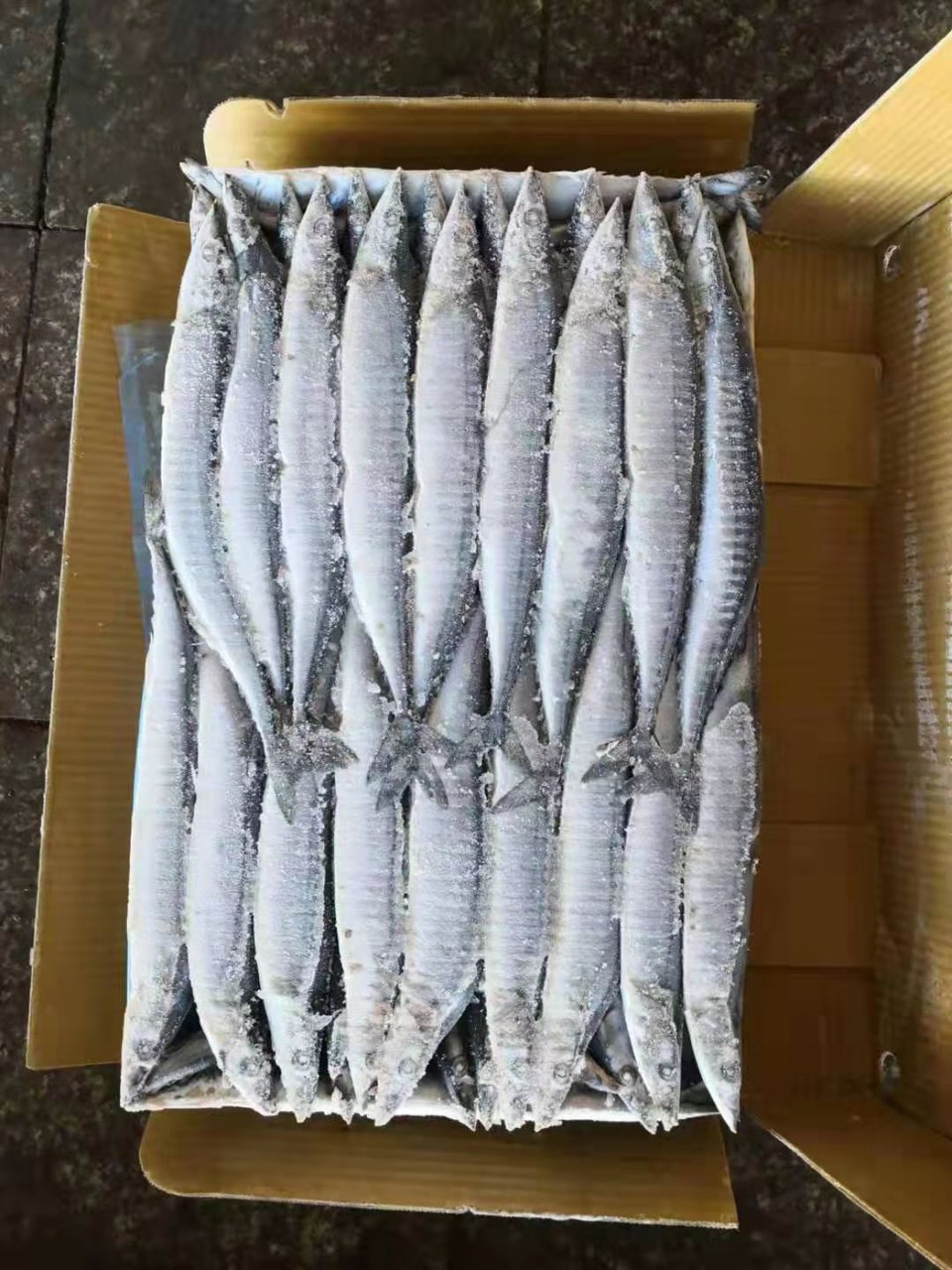 Chất lượng Hải sản xuất khẩu tại Nghệ An đảm bảo ổn định Hải sản xuất khẩu tại Nghệ An