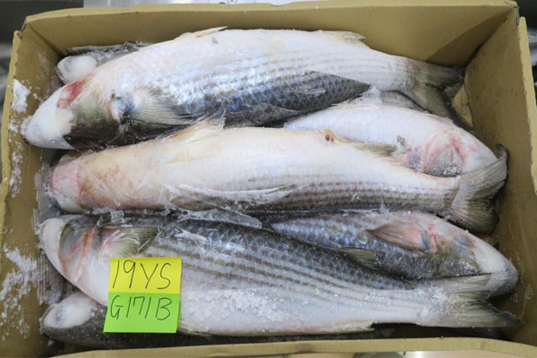 phân phối hải sản tại Nghệ An