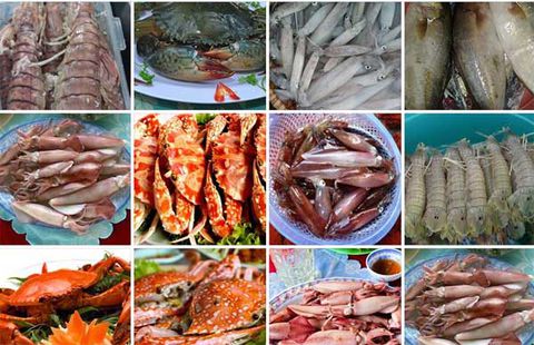 Đặc sản Biển Quỳnh mang hương vị gây thương nhớ của biển đặc sản biển quỳnh