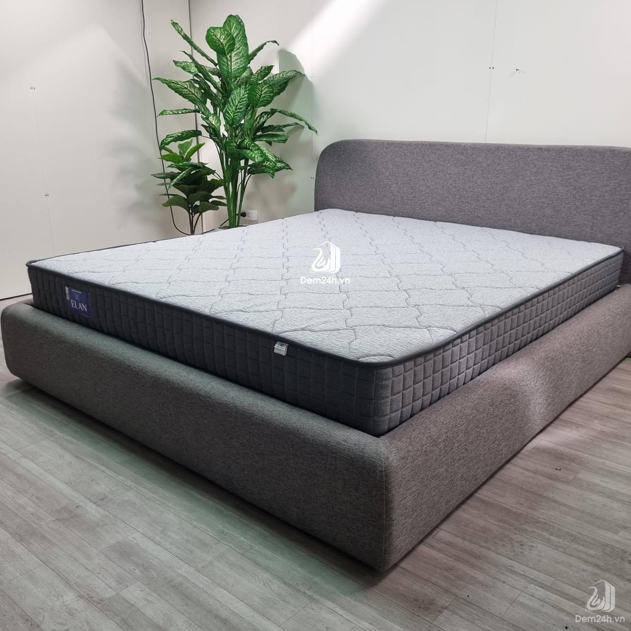 Đệm Lò Xo Elan Túi Cuộn Vimatt