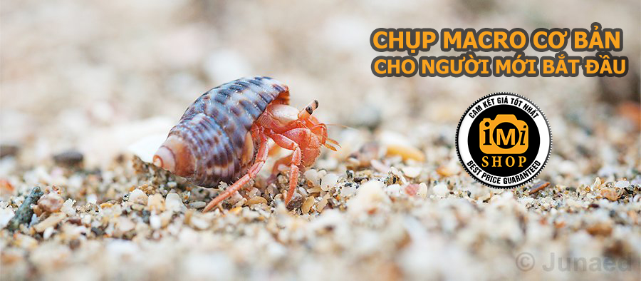 back-to-basics-chon-lua-ong-kinh-macro-cach-setup-co-ban