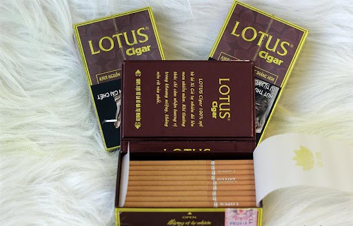 Cigar Lotus Mini 30 điếu – Tạo hình siêu nhỏ, tiết kiệm chi phí