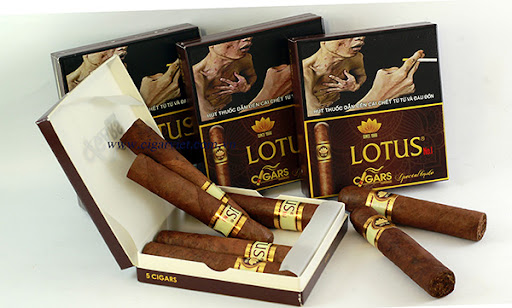 Thuốc lá Lotus giá bao nhiêu? Nên mua ở đâu đảm bảo uy tín, chất lượng?