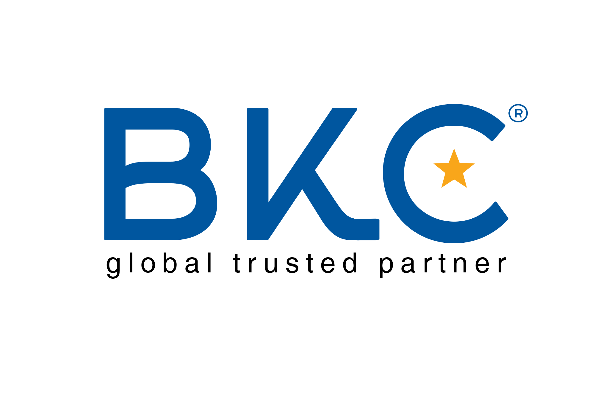 logo Công ty cổ phần Bách Khoa BKC