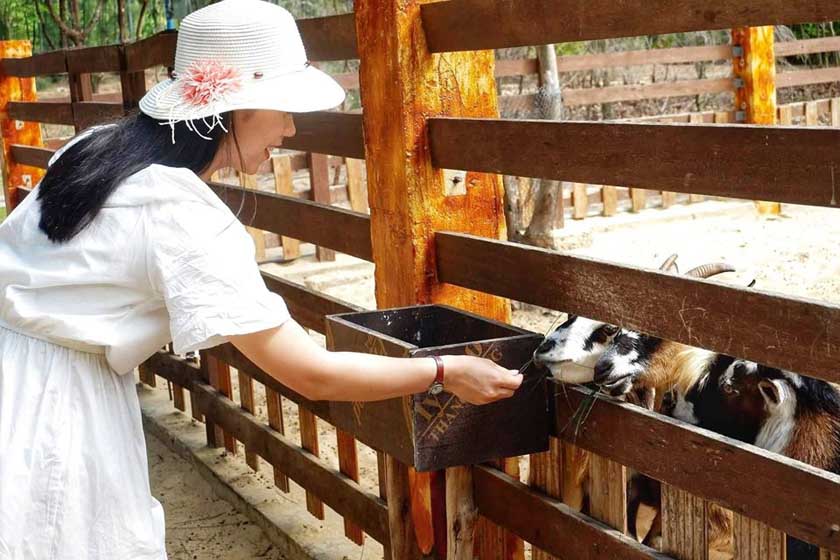 FLC Zoo Safari Park Quy Nhơn