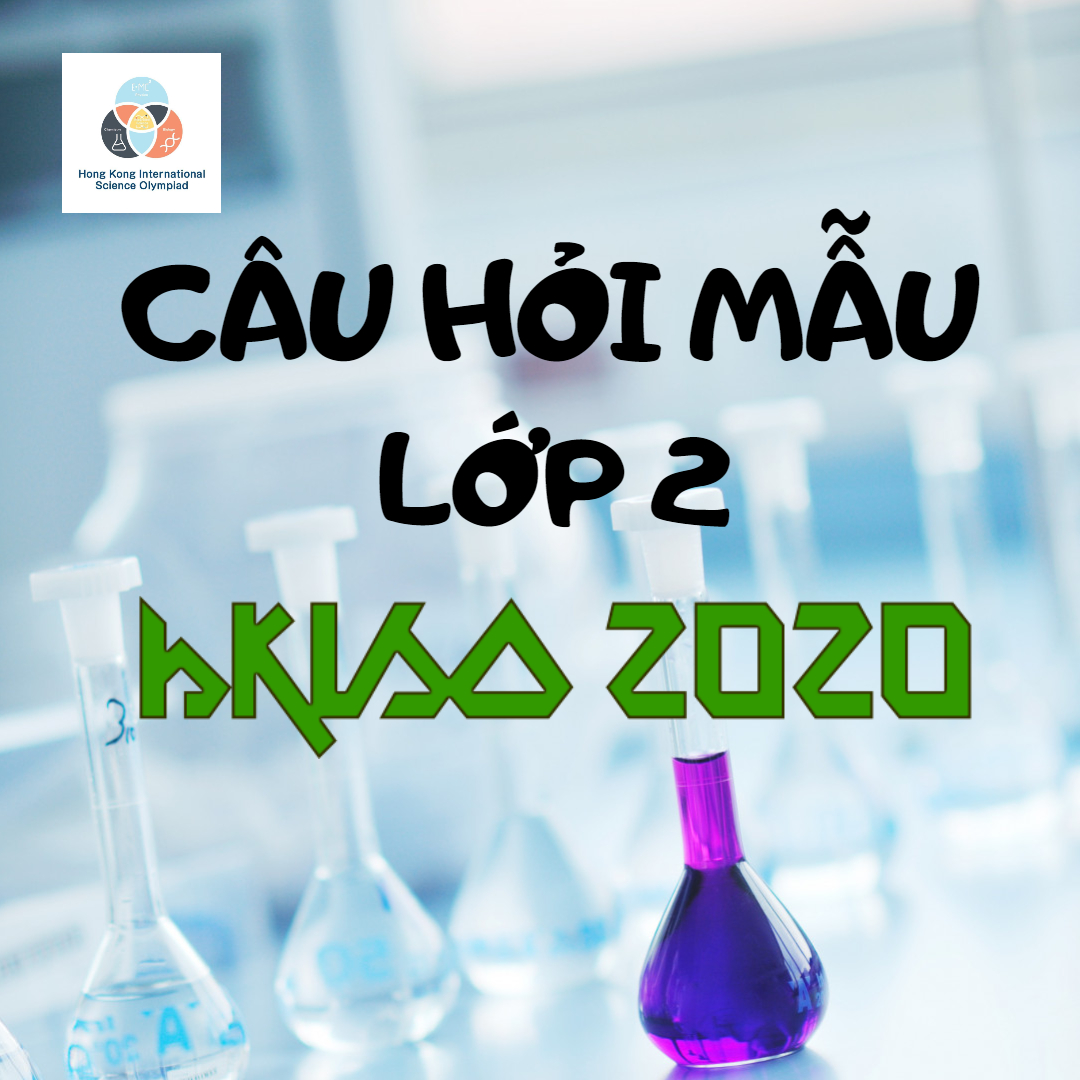 Câu hỏi MẪU lớp 2 Kỳ thi KHOA HỌC QUỐC TẾ HKISO 2020!!!