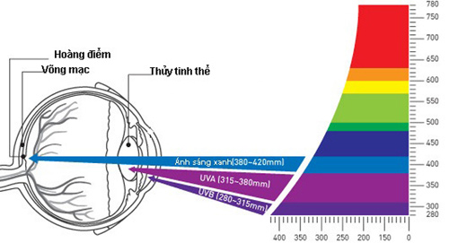 Tác động nắng đến thị giác