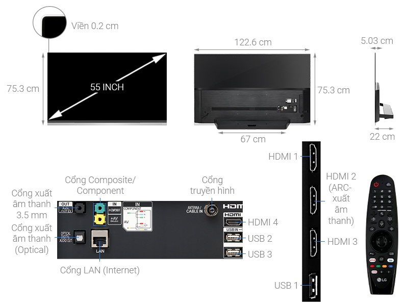 Smart Tivi LG OLED 55 inch 55E9PTA