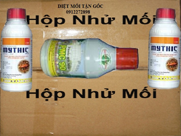 Hướng dẫn cách đặt hộp nhử mối